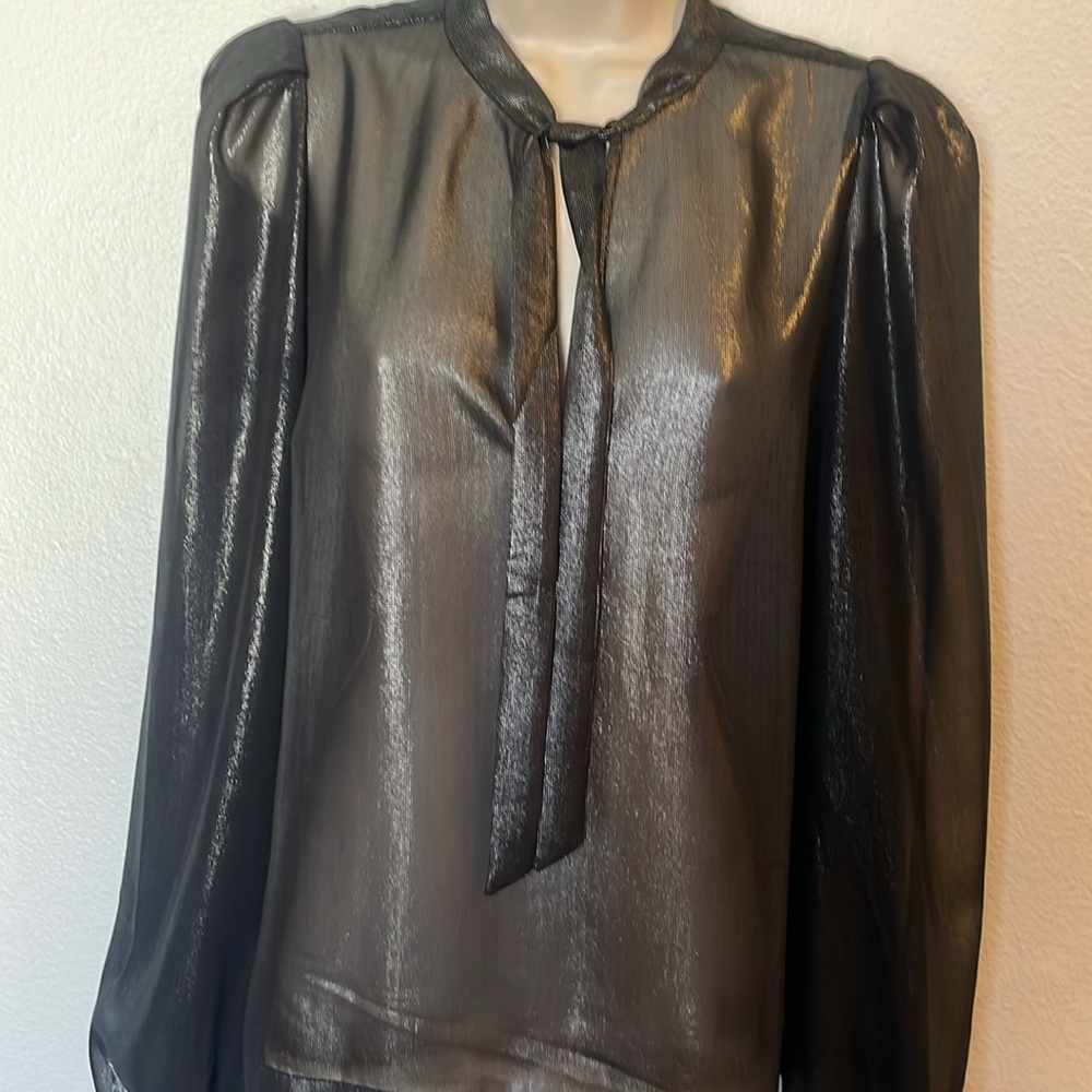 Express sheer top